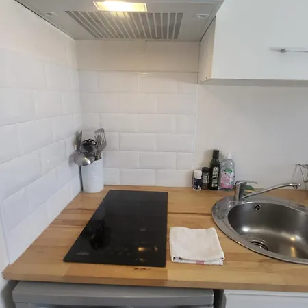 公寓 Scandi 419 南特